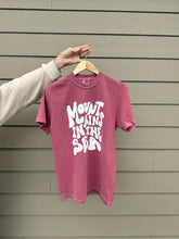 Retro heavyweight tee (brick red)