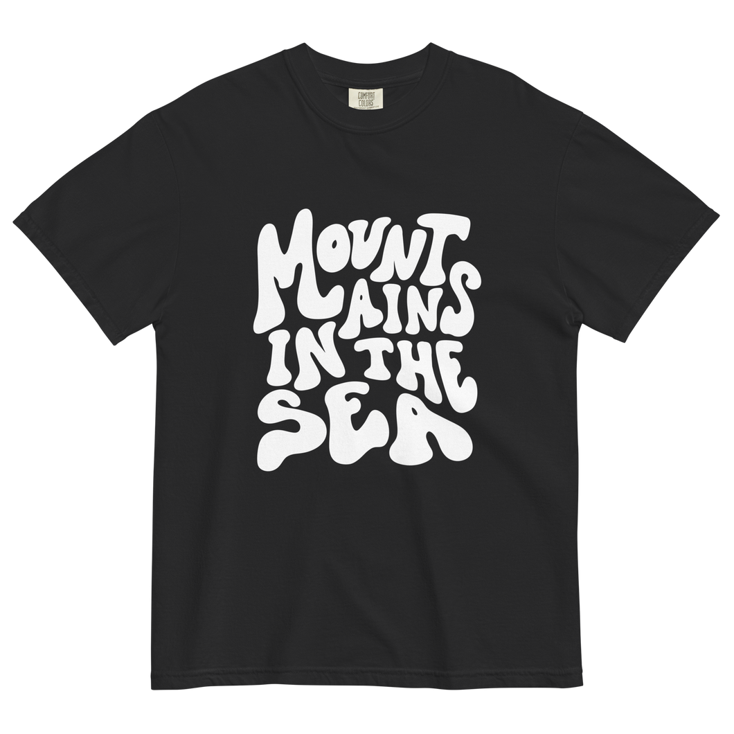 Retro heavyweight tee (black)