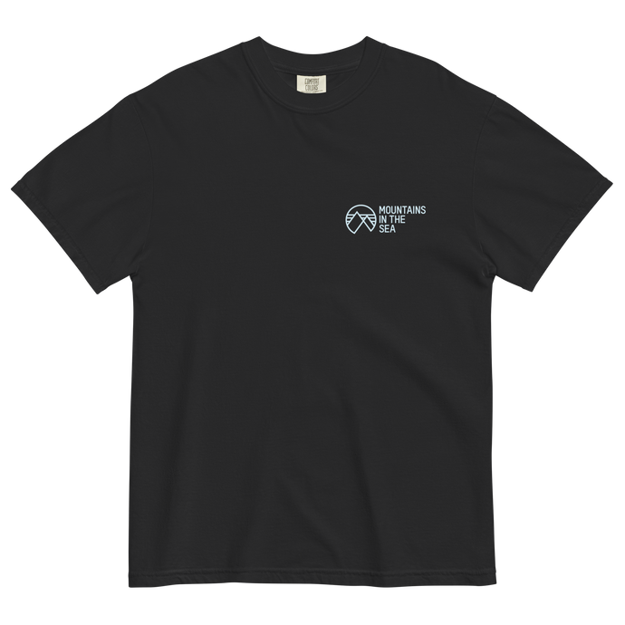 Logo heavyweight tee (black)