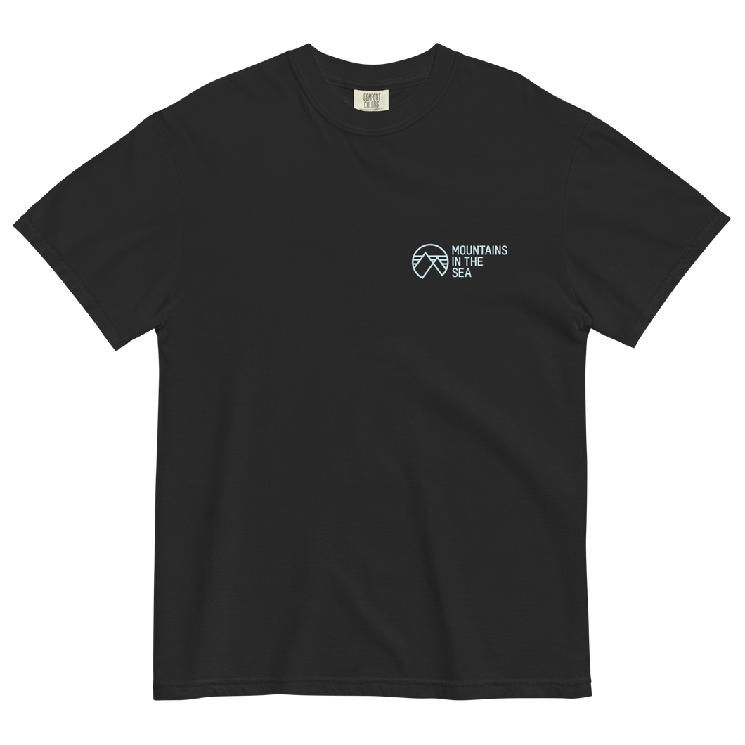 Logo heavyweight tee (black)