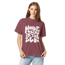 Retro heavyweight tee (brick red)