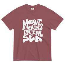 Retro heavyweight tee (brick red)