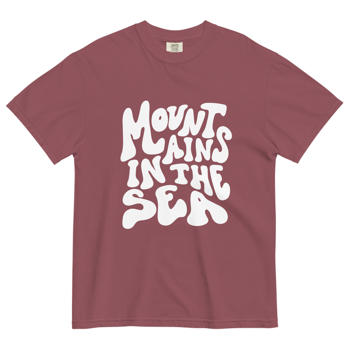 Retro heavyweight tee (brick red)