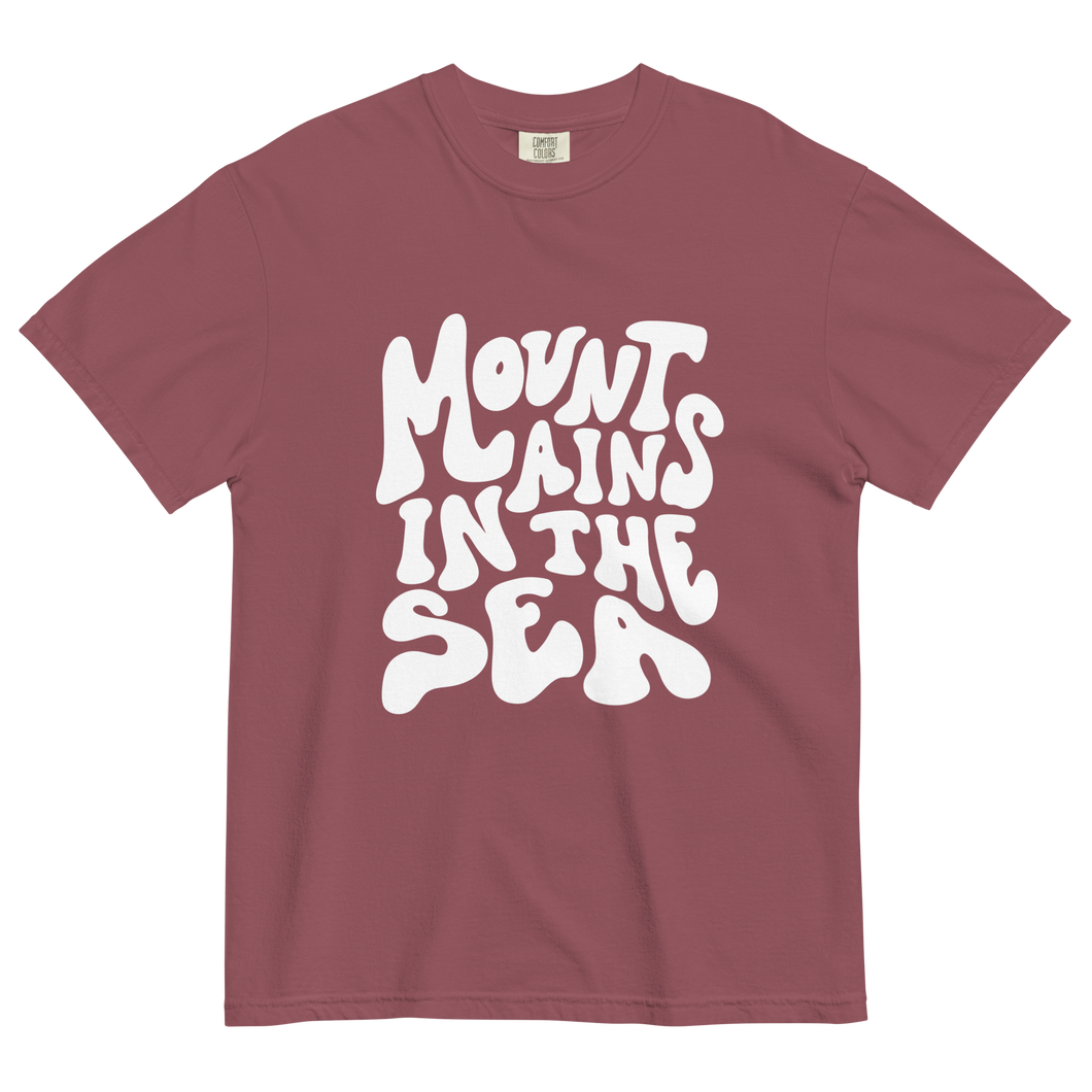 Retro heavyweight tee (brick red)